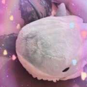 ヒメ日記 2025/02/03 17:29 投稿 まなか アネックスジャパン