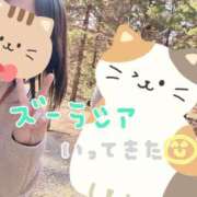 ヒメ日記 2025/03/13 22:23 投稿 しらゆき アラカルト