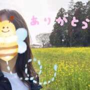 ヒメ日記 2025/03/28 23:41 投稿 しらゆき アラカルト