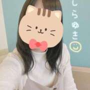 ヒメ日記 2025/03/29 20:20 投稿 しらゆき アラカルト