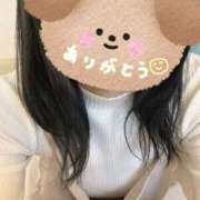 ヒメ日記 2025/03/30 13:07 投稿 しらゆき アラカルト