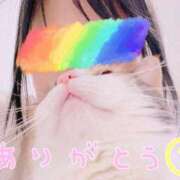 ヒメ日記 2025/05/04 12:34 投稿 しらゆき アラカルト