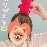 ヒメ日記 2025/05/05 10:25 投稿 しらゆき アラカルト