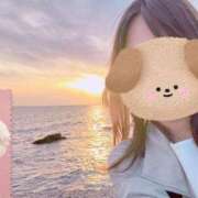 ヒメ日記 2025/05/06 22:26 投稿 しらゆき アラカルト