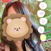 ヒメ日記 2025/05/20 17:24 投稿 しらゆき アラカルト