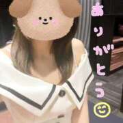 ヒメ日記 2025/06/09 13:13 投稿 しらゆき アラカルト