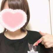 ヒメ日記 2025/06/15 08:23 投稿 しらゆき アラカルト