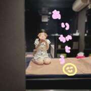 ヒメ日記 2025/06/23 12:31 投稿 しらゆき アラカルト