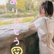 ヒメ日記 2025/08/23 10:54 投稿 しらゆき アラカルト