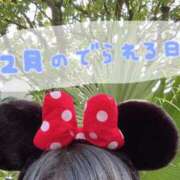 ヒメ日記 2025/11/11 00:22 投稿 しらゆき アラカルト