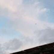 ヒメ日記 2025/11/12 19:11 投稿 しらゆき アラカルト