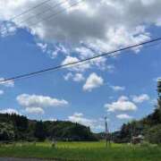 ヒメ日記 2025/11/13 20:25 投稿 しらゆき アラカルト