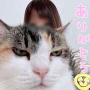 しらゆき 昨日のありがとうの気持ち(՞ ܸ.  ̫ .ܸ՞)✨️ アラカルト