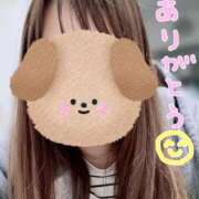 しらゆき ありがとうの気持ち(՞ ܸ.  ̫ .ܸ՞)✨️ アラカルト