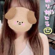 しらゆき 昨日のありがとうの気持ち(՞ ܸ.  ̫ .ܸ՞)✨️ アラカルト