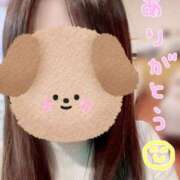 ヒメ日記 2025/12/29 10:55 投稿 しらゆき アラカルト