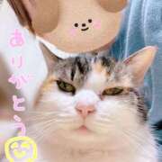 ヒメ日記 2026/01/06 19:06 投稿 しらゆき アラカルト