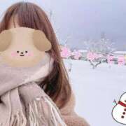 ヒメ日記 2026/02/10 23:22 投稿 しらゆき アラカルト