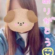 しらゆき 昨日のありがとうの気持ち(՞ ܸ.  ̫ .ܸ՞)✨️ アラカルト