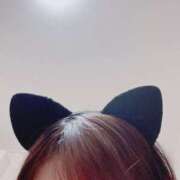 しらゆき 2月22日🐱 アラカルト