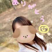 しらゆき 土曜日のありがとうの気持ち(՞ ܸ.  ̫ .ܸ՞)✨️ アラカルト