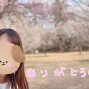 ヒメ日記 2026/03/28 09:22 投稿 しらゆき アラカルト