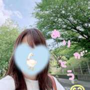 ヒメ日記 2026/04/29 09:51 投稿 しらゆき アラカルト