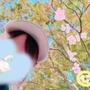 しらゆき ありがとうの気持ち(՞ ܸ.  ̫ .ܸ՞)✨️ アラカルト