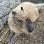 ヒメ日記 2025/05/02 10:01 投稿 しずく アラカルト