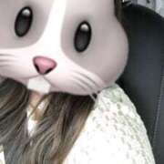 ヒメ日記 2025/05/31 10:30 投稿 しずく アラカルト