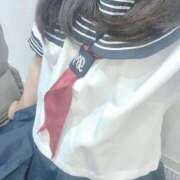 ヒメ日記 2025/06/07 14:01 投稿 しずく アラカルト