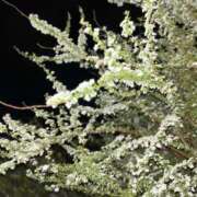 しずく 出勤〜!! アラカルト