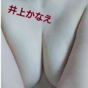 ヒメ日記 2025/02/14 14:54 投稿 井上かなえ 日暮里ド淫乱倶楽部