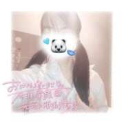 ヒメ日記 2025/03/14 12:22 投稿 こは アイドルチェッキーナ本店