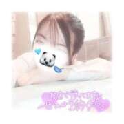 ヒメ日記 2025/03/18 08:14 投稿 こは アイドルチェッキーナ本店