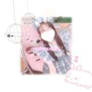 ヒメ日記 2025/04/22 12:22 投稿 こは アイドルチェッキーナ本店