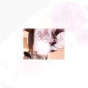 ヒメ日記 2025/07/15 23:52 投稿 こは アイドルチェッキーナ本店