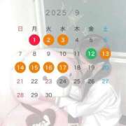 ヒメ日記 2025/08/17 20:12 投稿 こは アイドルチェッキーナ本店