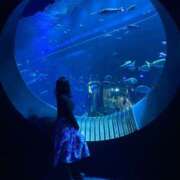 ヒメ日記 2025/02/12 17:36 投稿 いずみ 風鈴（ふうりん）