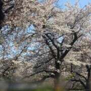 ヒメ日記 2026/04/04 09:40 投稿 さおり ふわふわコレクション川越店