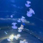 ヒメ日記 2026/04/19 20:38 投稿 さおり ふわふわコレクション川越店