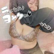 ヒメ日記 2025/04/24 15:47 投稿 ゆめな ふわふわコレクション川越店