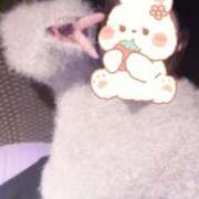 ヒメ日記 2025/03/18 16:27 投稿 あず Jewelry club（ジュエリークラブ）