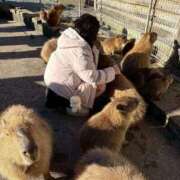 ヒメ日記 2025/12/27 14:47 投稿 ななせ ふわふわコレクション川越店