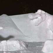 ヒメ日記 2025/02/10 16:23 投稿 ゆきの Evolution 2nd