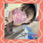 ヒメ日記 2025/05/11 19:03 投稿 らむ 尼妻（あまづま）