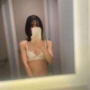 ヒメ日記 2025/03/08 14:25 投稿 ひかり ノース -North-