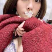 ヒメ日記 2025/04/01 13:57 投稿 ひかり ノース -North-