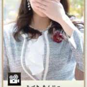 ヒメ日記 2025/01/29 22:01 投稿 観月あんじゅ ハールブルク