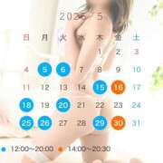 ヒメ日記 2025/05/03 13:05 投稿 観月あんじゅ ハールブルク